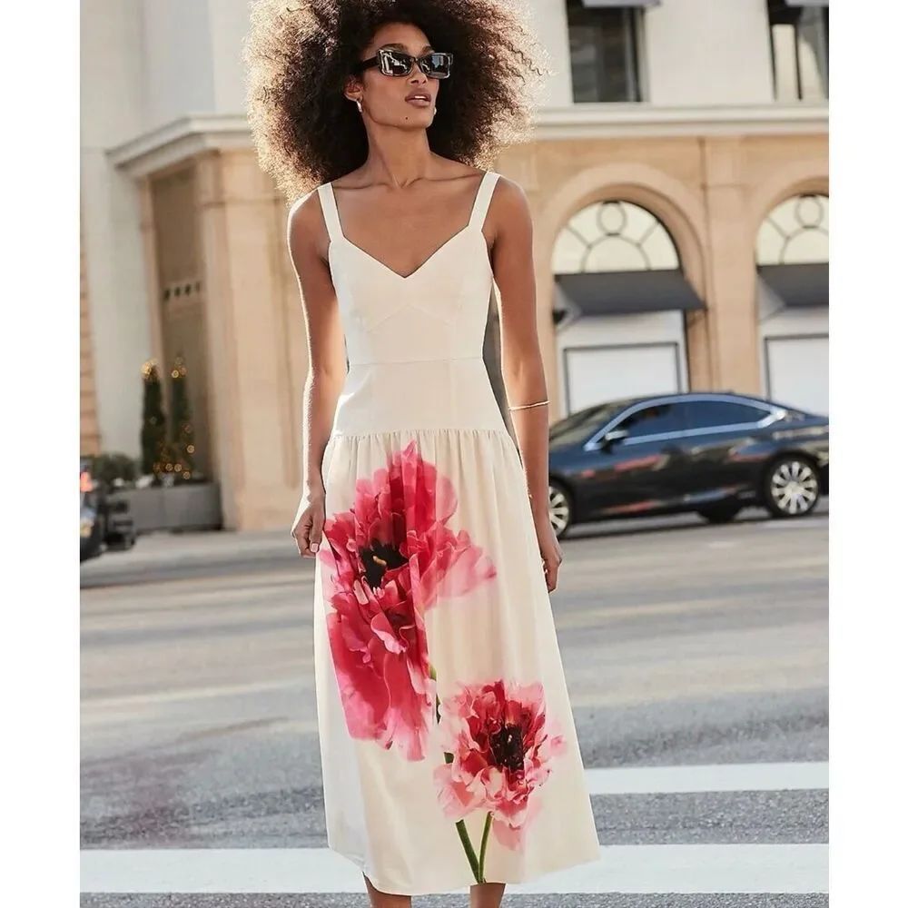 EXPRESS FLORAL V-NECK CORSET MIDI DRESS SZ 4 Nwt
